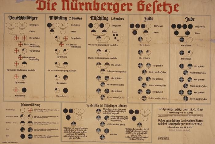 A large chart of family trees in German. These charts are made of circles in various colors that would help determine someone’s racial membership according to the law.